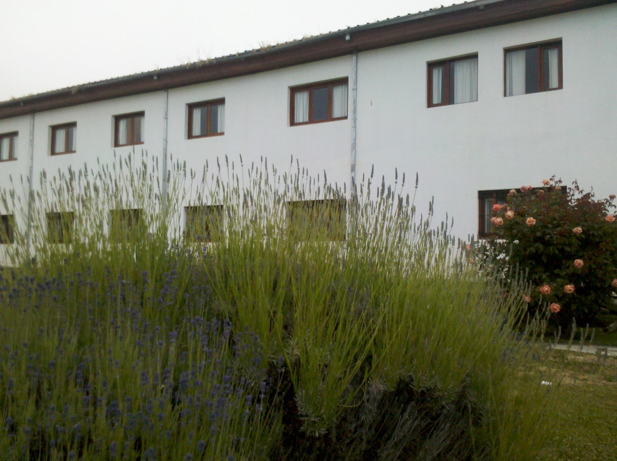 Kalken Hotel By Mh El Calafate Exterior foto